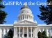Public Relations California